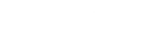 bt_logo_h_w